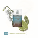 BARGELLO Tempo bliss Perfume